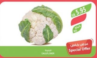 Cauliflower 1 KG