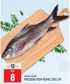 Frozen Fish Rohu 2kg Up