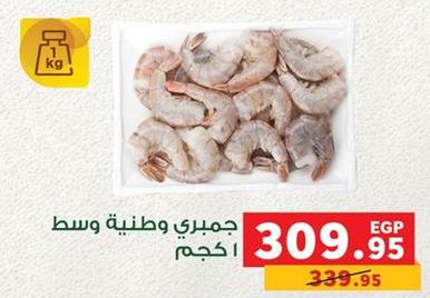 Medium national shrimp 1 kg