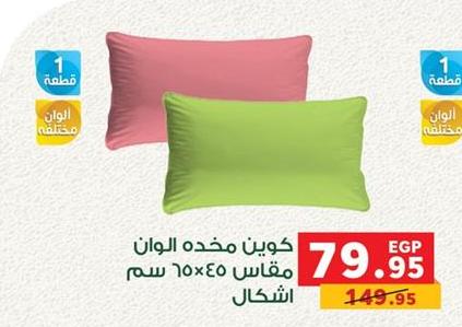 Cushion in assorted colors, size 45x70 cm