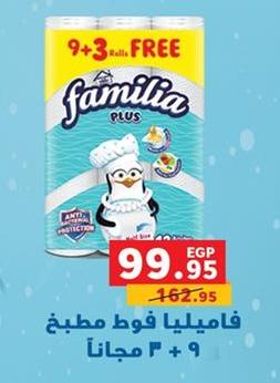 Familia Plus Kitchen Rolls 9 + 3 Free