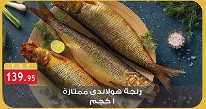 Dutch herring, excellent quality, 1 kg