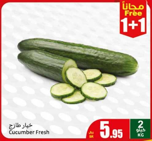 Cucumber Fresh 1+1 FREE