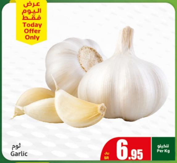 Garlic