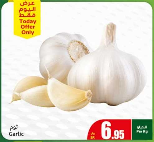 Garlic