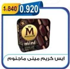 Magnum Mini Ice Cream