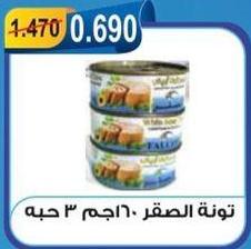 Tuna in oil, 3 cans