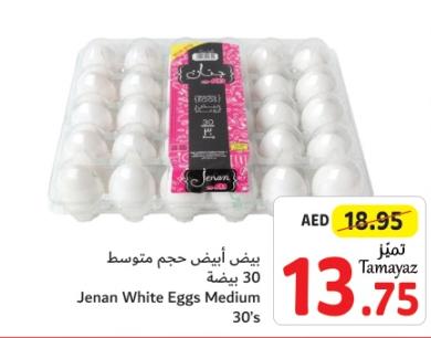 Jenan White Eggs Medium 30's