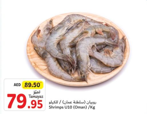 Shrimps U10 (Oman) / Kg