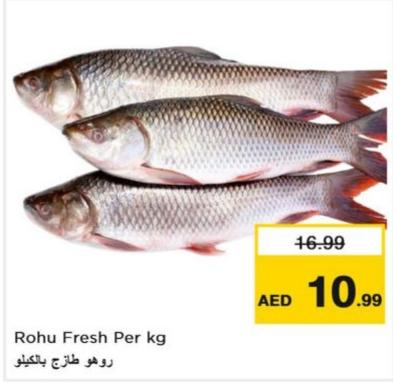 Rohu Fresh Per kg