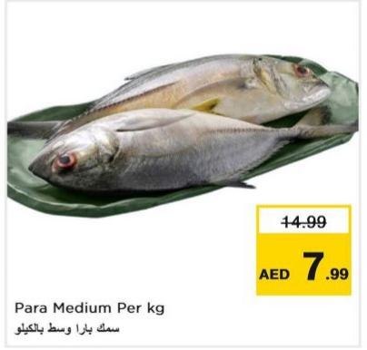 Para Medium Per kg