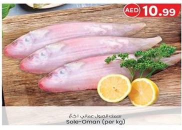 Sole-Oman (per kg)