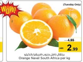 Orange Navel South Africa per kg