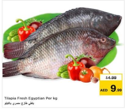 Tilapia Fresh Egyptian