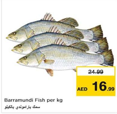 Barramundi Fish per kg