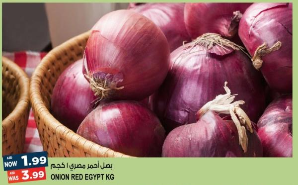 Red Onion Egypt KG