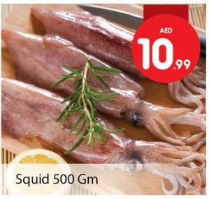 Squid 500 GM