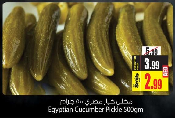 Egyptian Cucumber Pickle 500gm