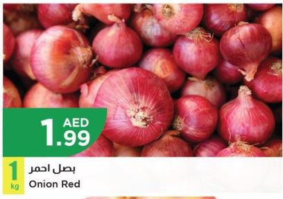 Red Onion