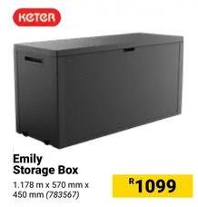 Emily Storage Box