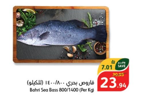 Bahri Sea Bass 800/1400 (Per Kg)