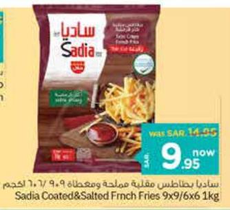 Sadia Coated & Salted French Fries 9x9/6x6 1kg