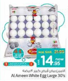 Al Ameen White Egg Large 30's