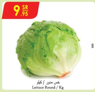 Lettuce Round /Kg