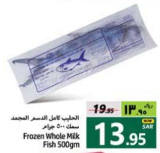 Frozen Whole Milk Fish 500GM 