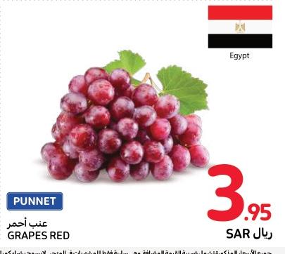 Red Grapes 