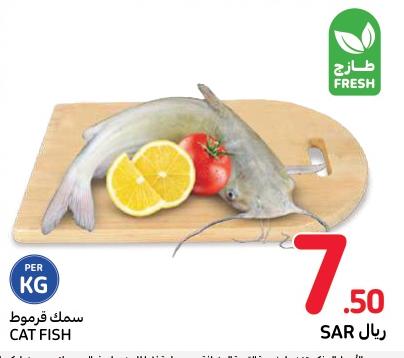 Cat Fish Per kg 