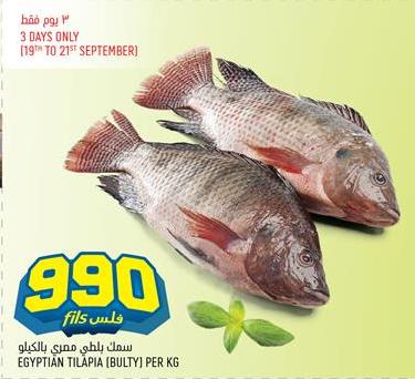 Egyptian Tilapia (Bulti) per kg