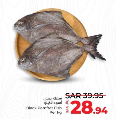 Black Pomfret Fish