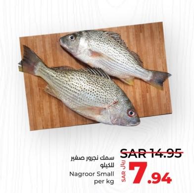 Nagroor Small per kg