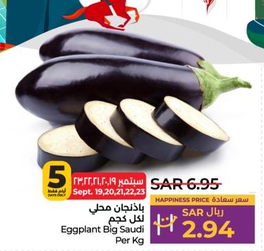 Eggplant Big Saudi Per Kg