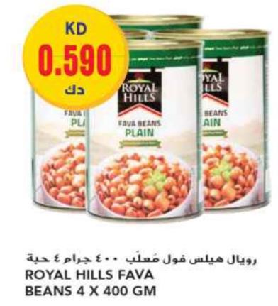 Royal Hills Fava Beans Plain 4 x 400 GM