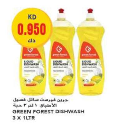 Green Forest Dishwash Liquid 3X1 LTR