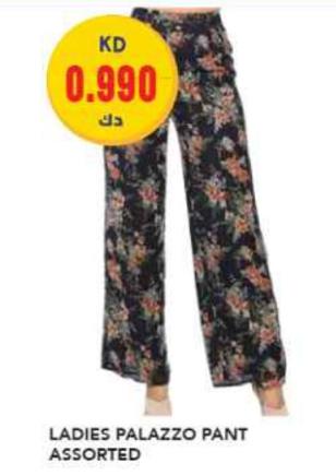 Ladies Palazzo Pant Assorted