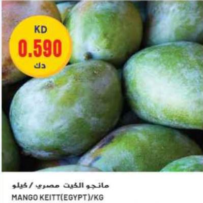 Mango Keitt (Egypt) / kg