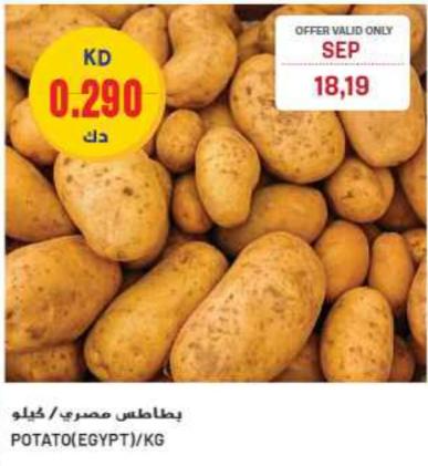 Potato (Egypt)/KG