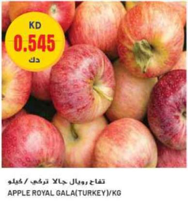 Royal Gala Apples from Turkey/kg