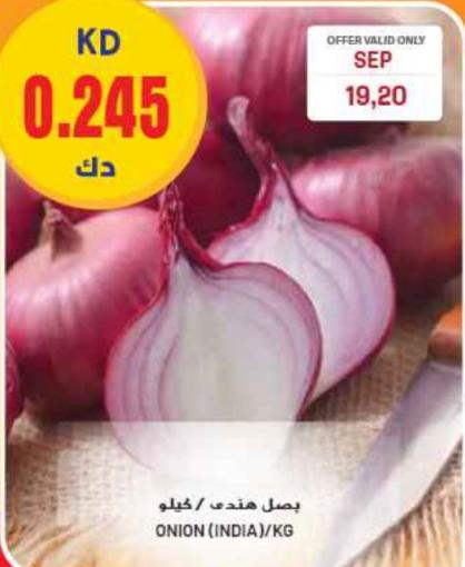 Onion (India) / KG