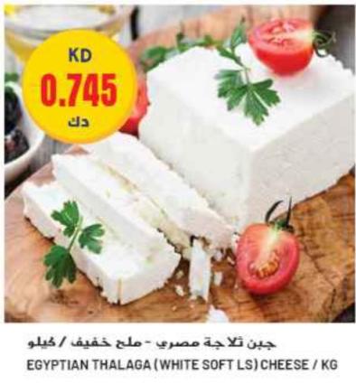 Egyptian Thalaga (White Soft LS) Cheese / KG