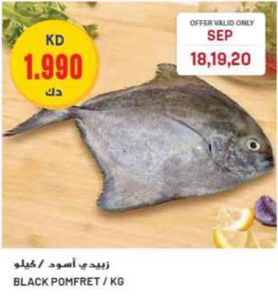 Black Pomfret/kg