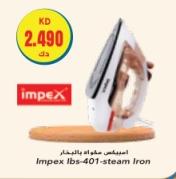 Impex IBS-401 steam iron