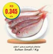 Sultan Small / Kg