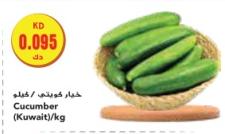 Cucumber (Kuwait) / kg