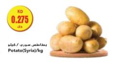 Potato (Syria)/kg