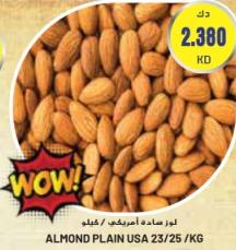 Almond Plain USA 23/25 /KG