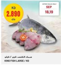 King Fish Large / KG